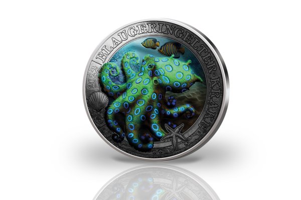 Kraken даркнет что это
