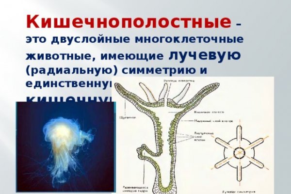 Кракен маркетплейс ссылка телеграмм