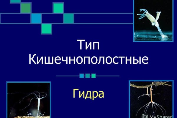 Кракен маркет только через тор скачать