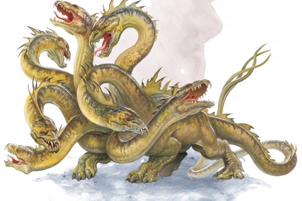 Kraken 20at