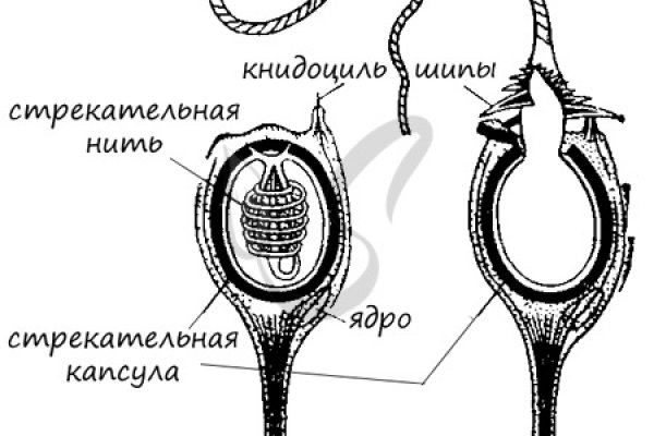 Kra31cc