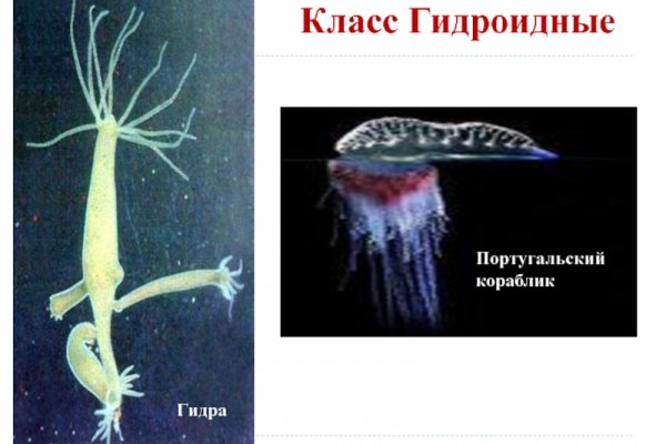 Darknet магазин