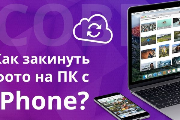 Кракен актуальная ссылка kraken torion net