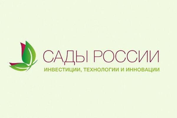 Ссылки на даркнет сайты