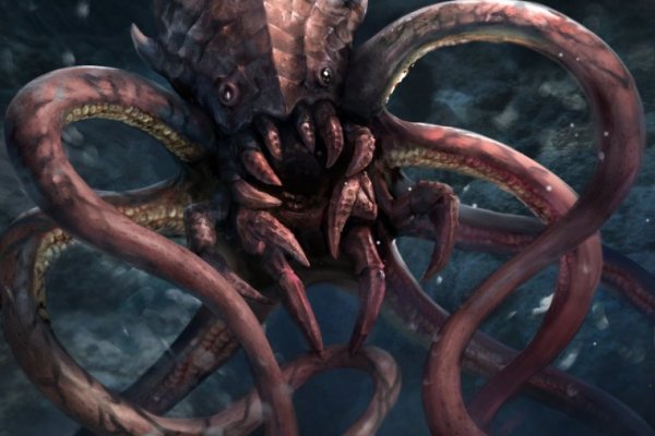 Kraken площадка