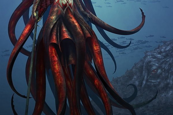 Kraken 12 att